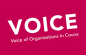 VOICE Network logo